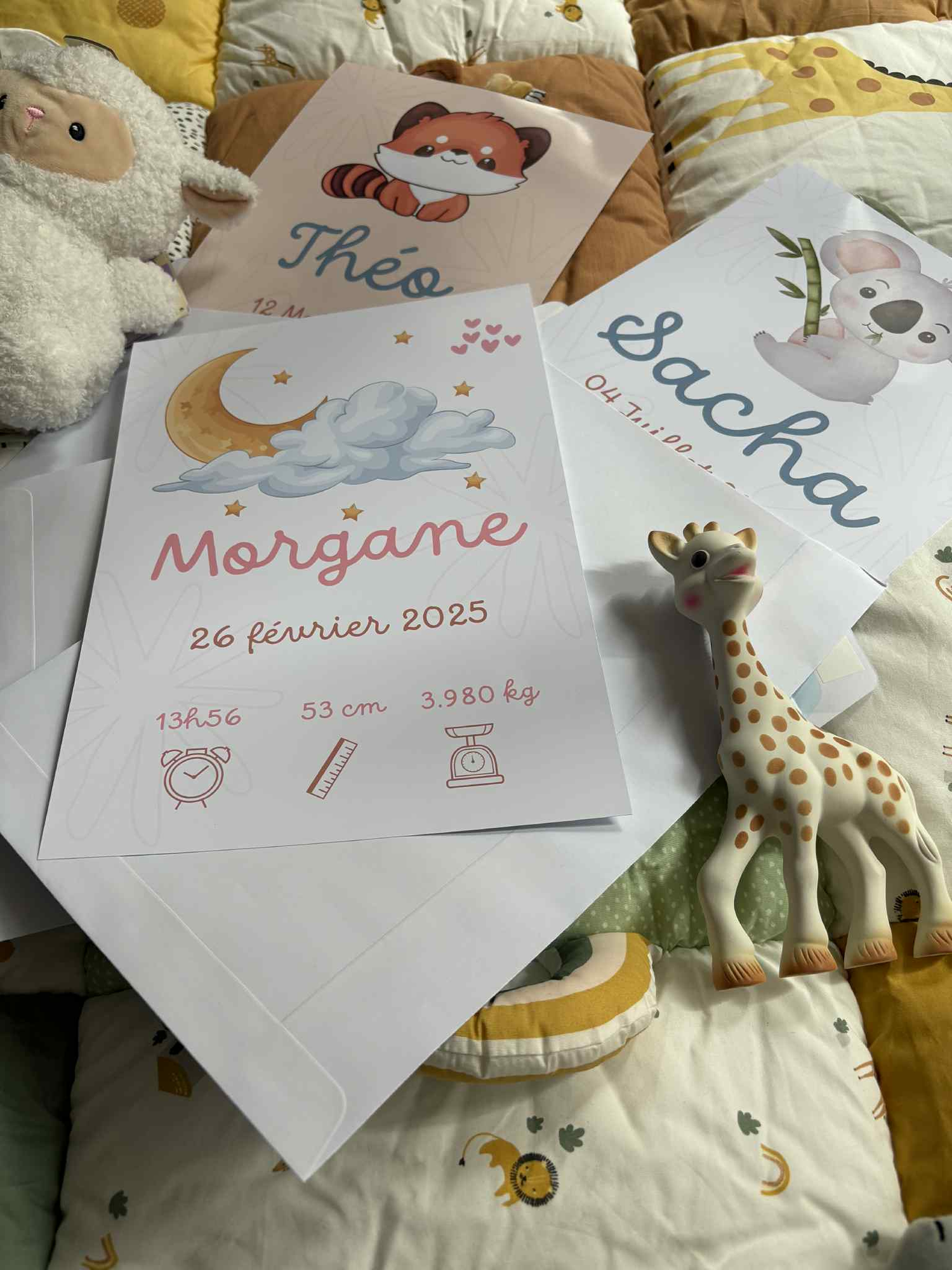 Affiche naissance